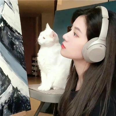 废柴小仵作