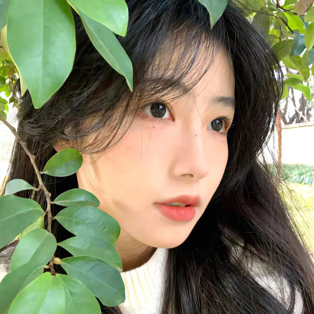 后街梦